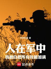 我的军功能加点TXT