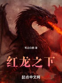 红龙之书能买到吗