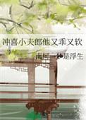 冲喜小夫郎 作者水三金
