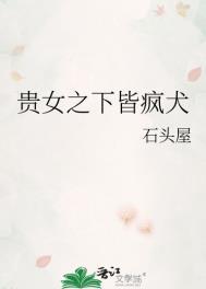 贵女之下皆疯犬石头屋