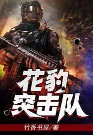 花豹突击队全文免费阅读